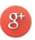 Google PLus Icon